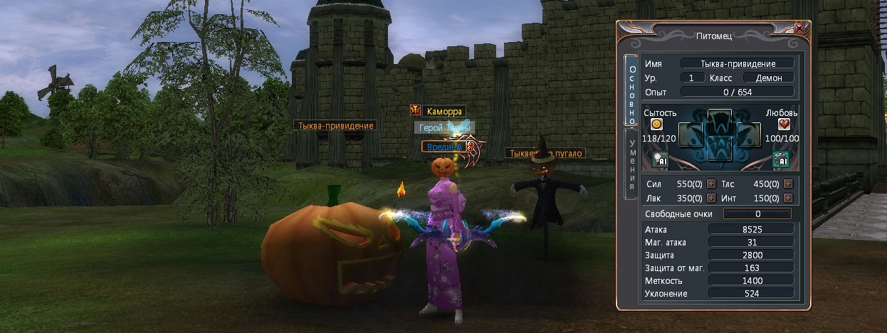 pet.jpg